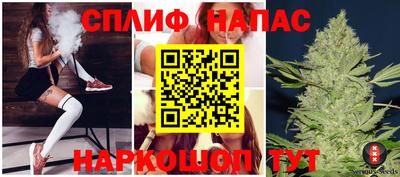 сатива Гай