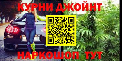 сатива Гай